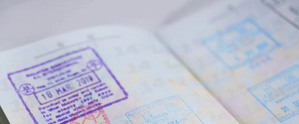 パスポート,ビザ,査証欄